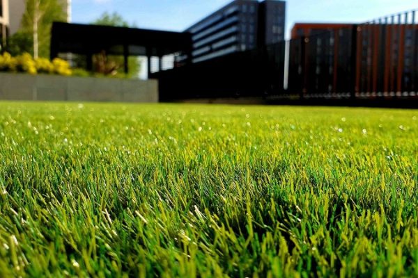 Artificial Grass Image