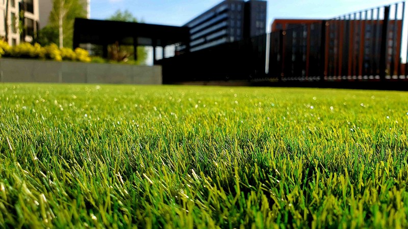 Artificial Grass Image