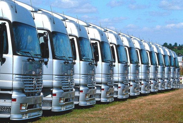 Image of Trucks ready for Groupage shipping